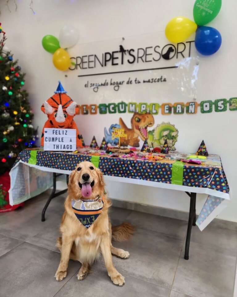 Servicio de cumpleaños para perros
