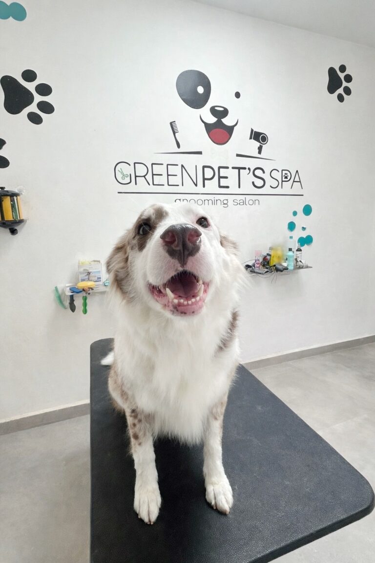 Día de Spa en Green Pets Resort