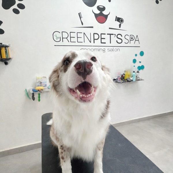 0BCEDE32-777F-455D-AAB4-A82503C26FBB