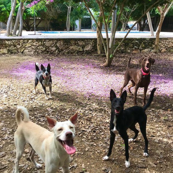 121966840_264672131649605_623015585781697722_n