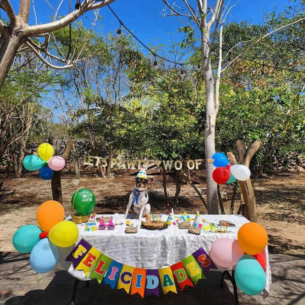 157001740_718206722191051_639377790090225143_n