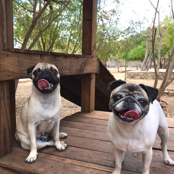 160260113_133079085398882_8596884690679348067_n