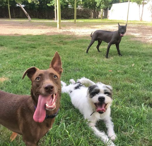 213821683_4142362939151799_3429377946578378048_n