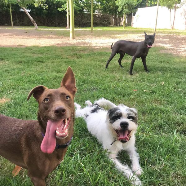 213821683_4142362939151799_3429377946578378048_n