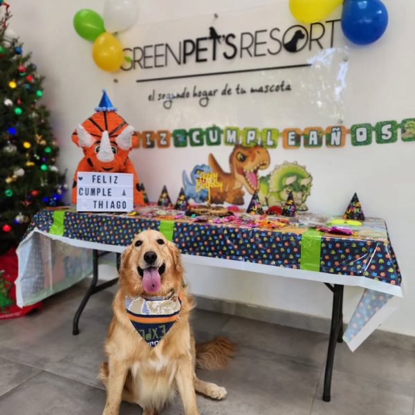 Servicio de cumpleaños para perros