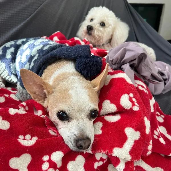 3470760F-F225-4E09-AE64-6665989F76DE (1)