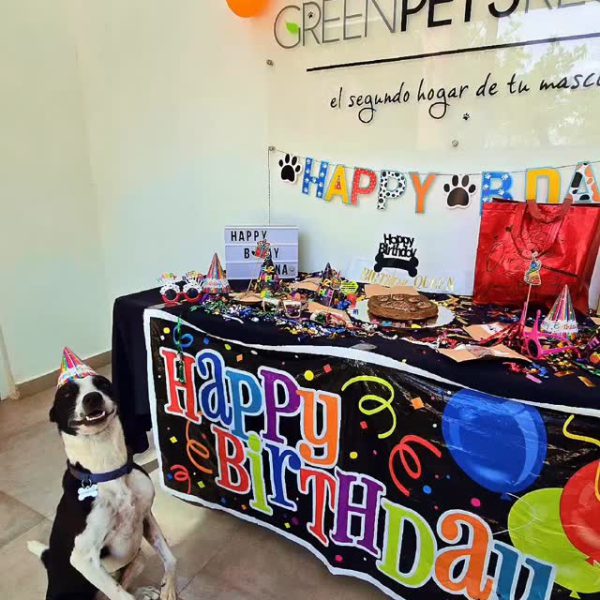 497179561_2100467460455712_7239150690246683053_n