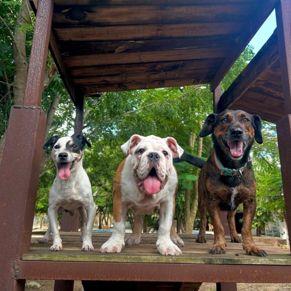 528688616_18314786242210266_6532504426002861884_n