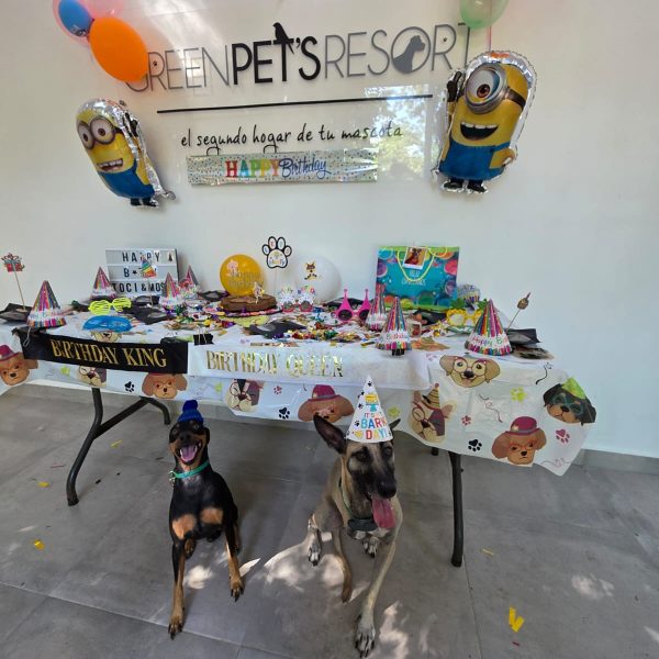 575665271_18326921590210266_8885023510378837291_n