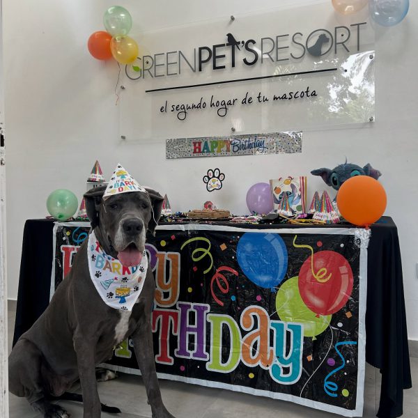 581425196_18328740796210266_1445441238039652220_n