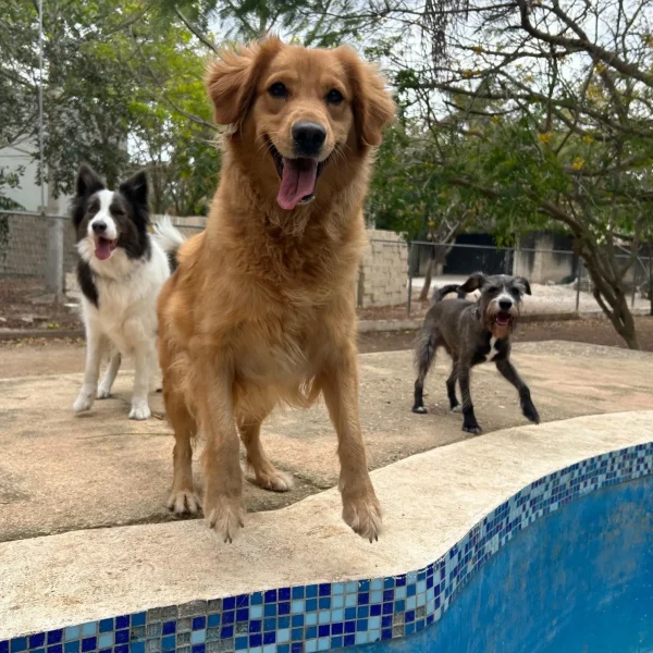 77D91D8E-A425-4D38-97E0-3A50D8083873 (1)