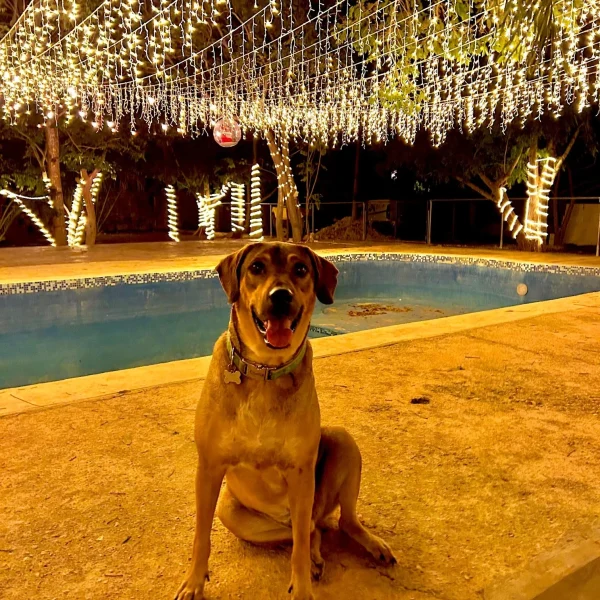 CE5E3CFB-6BC5-4CCC-ACAE-77D5C4591DC4_resized