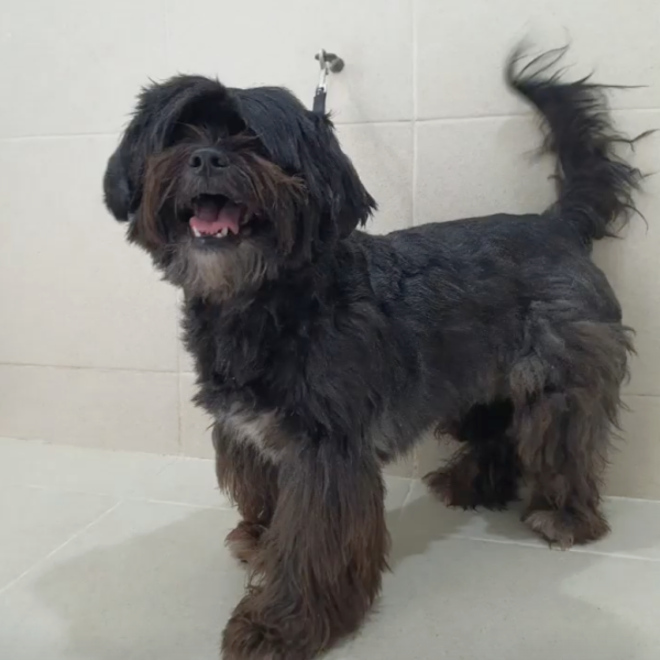 Captura de pantalla 2026-02-20 a la(s) 15.56.33