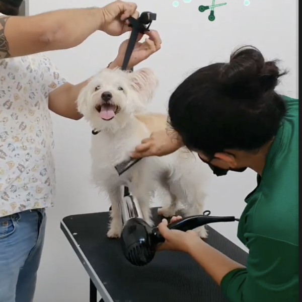 Captura de pantalla 2026-02-20 a la(s) 15.56.42