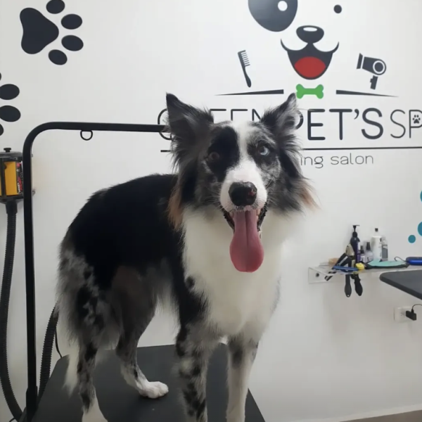 Captura de pantalla 2026-02-20 a la(s) 15.58.00