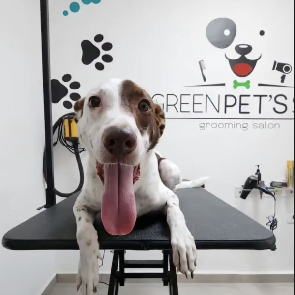 Captura de pantalla 2026-02-20 a la(s) 15.59.00