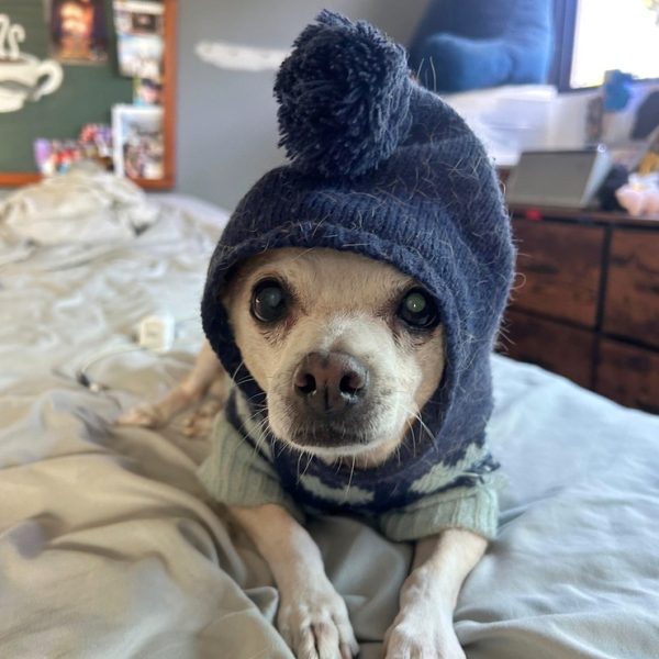 D6B28597-F5F4-42E5-A0CB-7AF3635D0E30_SnapseedCopy