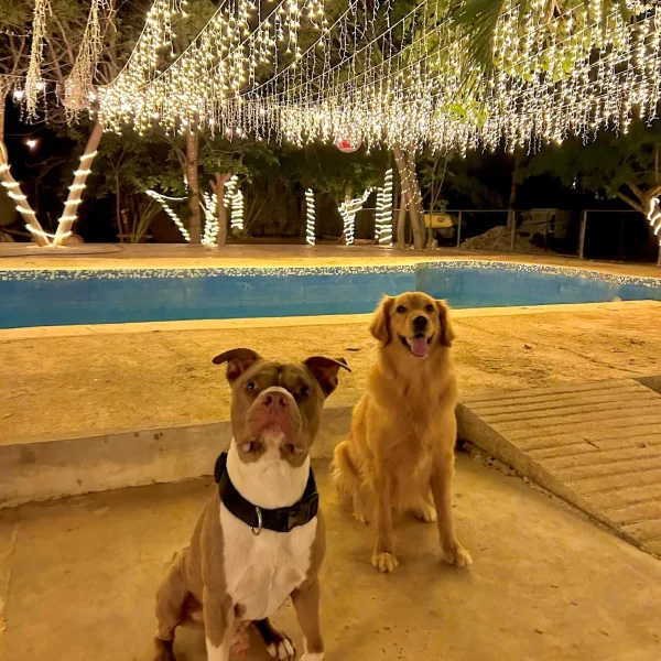 D906774A-2F9E-44BF-B1AB-9E827E0EFE98_resized