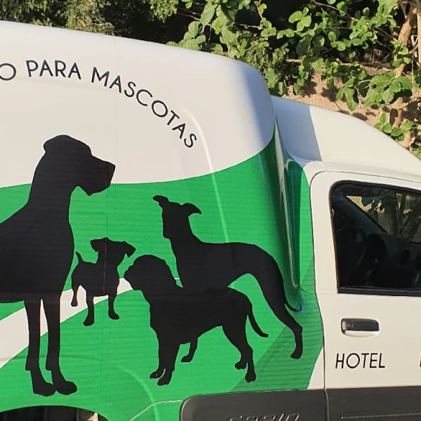 Green_Pets_camioneta