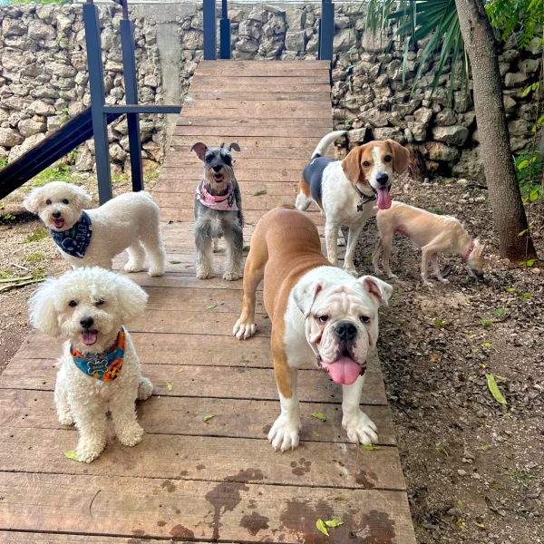 WhatsApp Image 2025-12-11 at 15.16.23