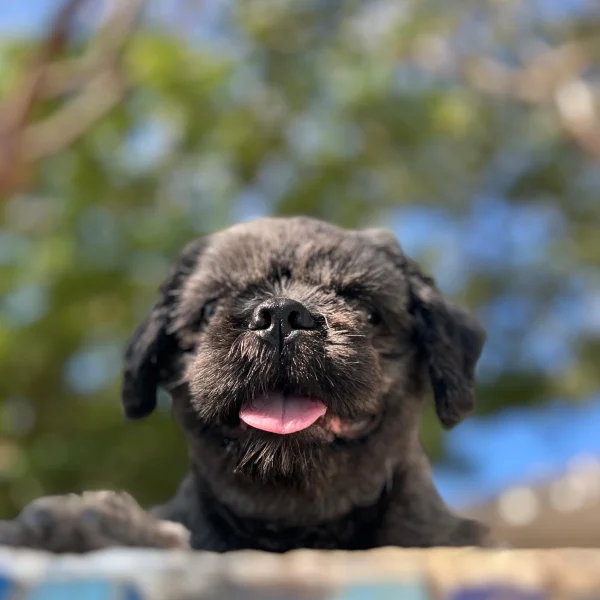 d76d8690-b284-4e2c-859b-aa7a7fbe4197