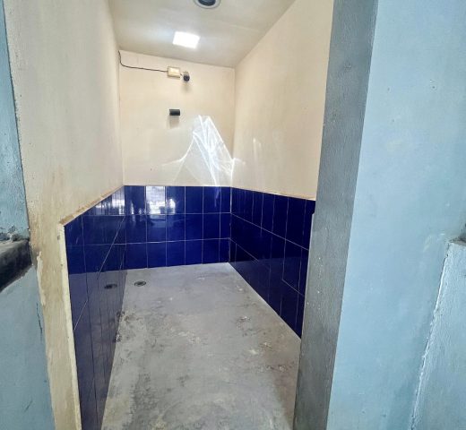 Cuartos amplios de 7m² para perros en Green Pets Resort